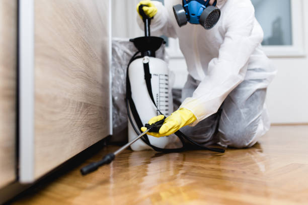 Best Pest Control Near Me  in Murphys, CA