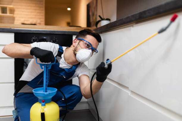 Best Pest Control Near Me in Murphys, CA